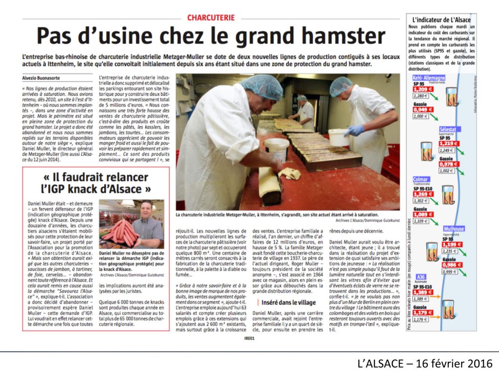 Pas d’usine chez le grand hamster